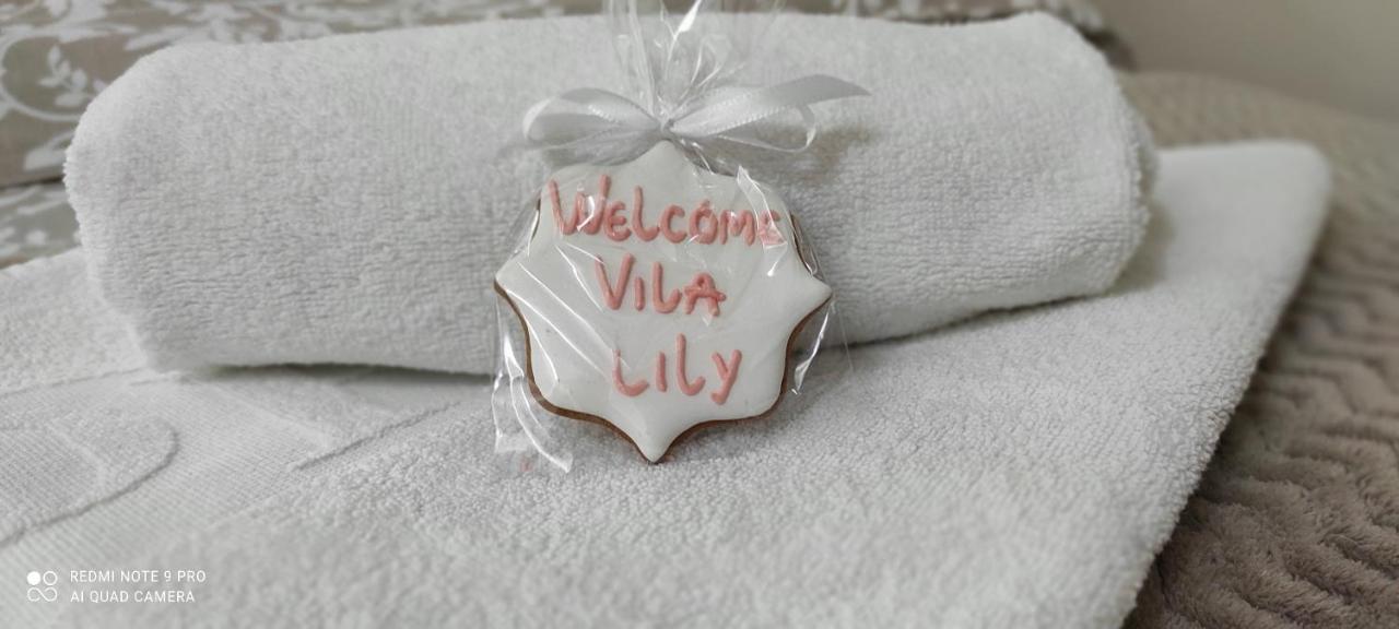 Vila Lily Villa Smederevo Exteriör bild
